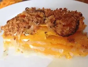 maidotonta