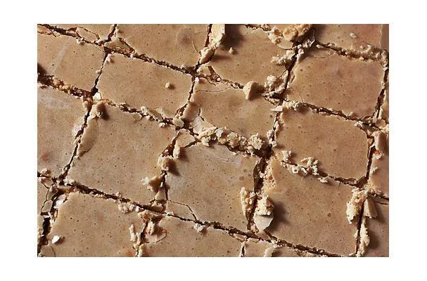 Fudge-palat