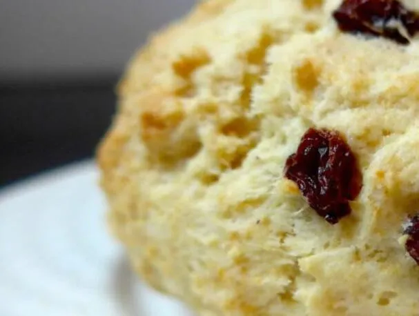 Täydelliset rusinasconet